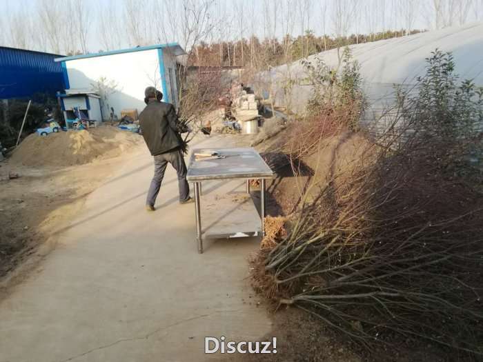 微信图片_20171225151109.jpg