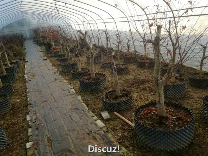 微信图片_20171225151136.jpg