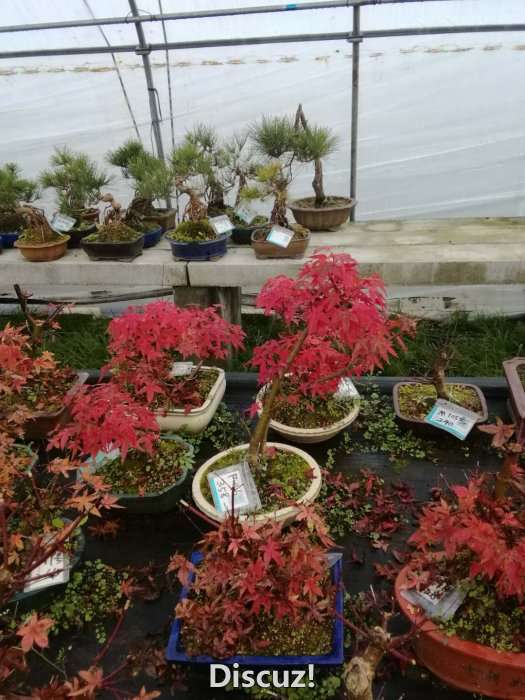 微信图片_20171226120043.jpg