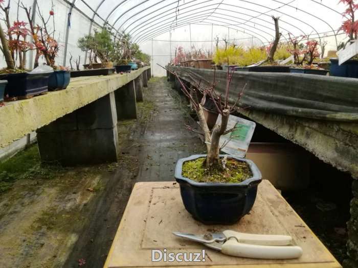 ΢ͼƬ_20171228115642.jpg