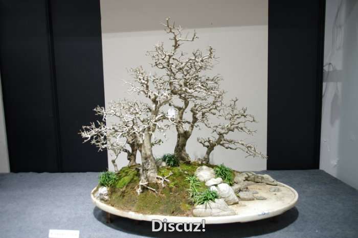 IMGP8202.JPG