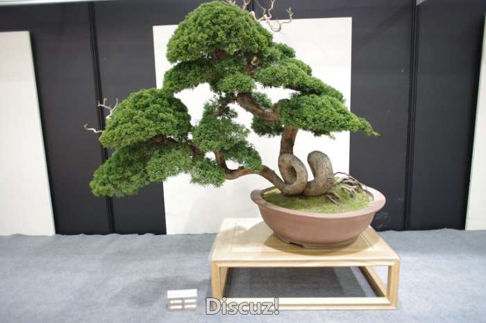 IMGP8205.JPG