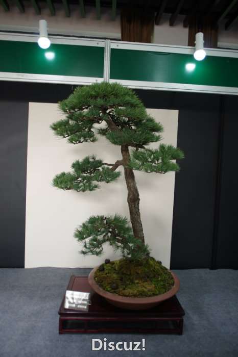 IMGP8219.JPG