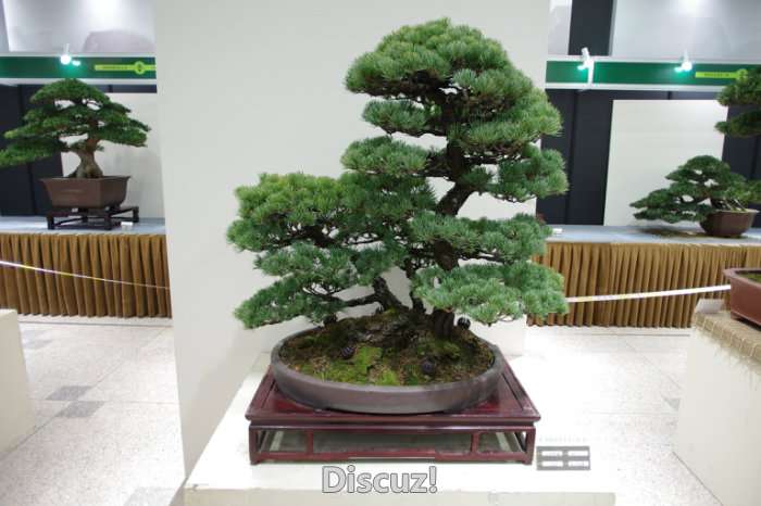 IMGP8291.JPG