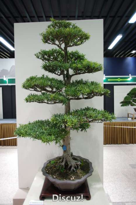 IMGP8293.JPG