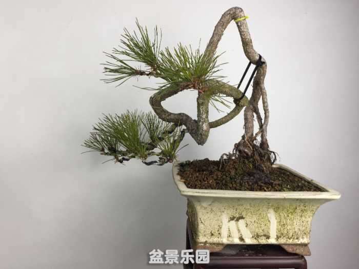 0B400E44-32DB-4E43-B729-311100DB5E00.jpeg