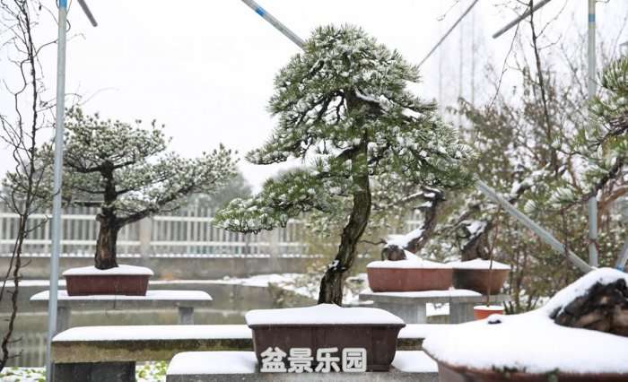 QQͼƬ20180126220839.jpg