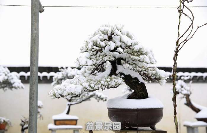 QQͼƬ20180126221602.jpg
