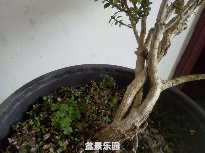 QQͼƬ20180724132745_.jpg