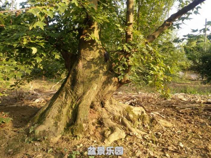 微信图片_20181017100111.jpg