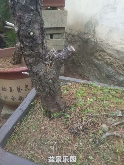 QQͼƬ20181014201711_.jpg