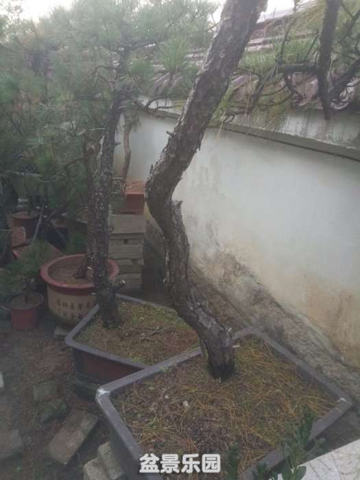 QQͼƬ20181014201744_.jpg