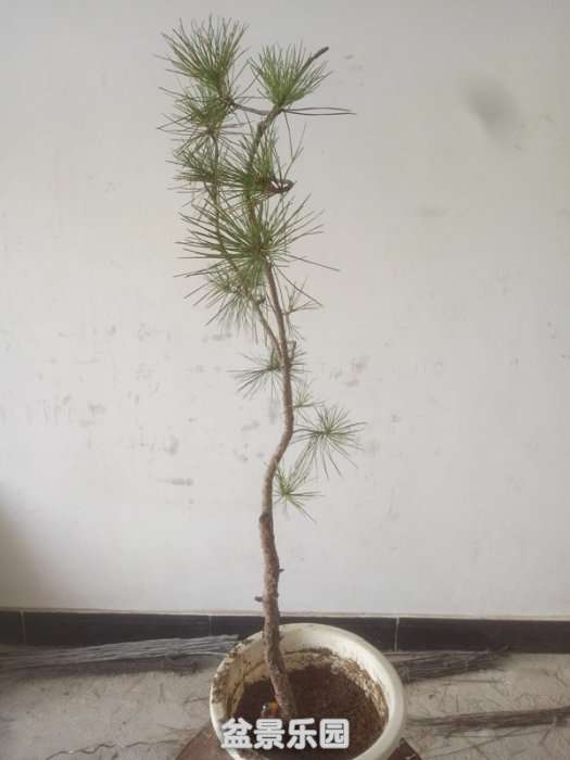 QQͼƬ20181026153741_.jpg