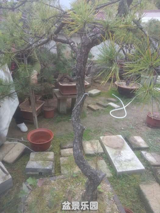 QQͼƬ20181026154321_.jpg