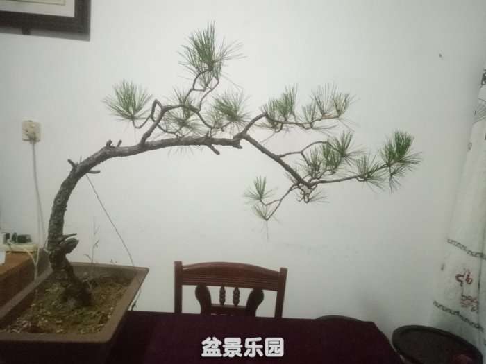 QQͼƬ20181026154433_.jpg