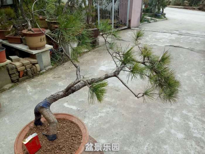 QQͼƬ20190119170258_.jpg