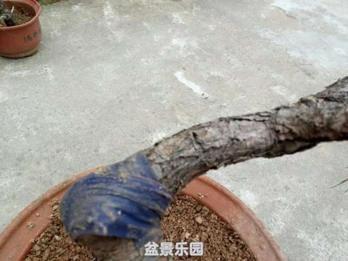 QQͼƬ20190119170308_.jpg