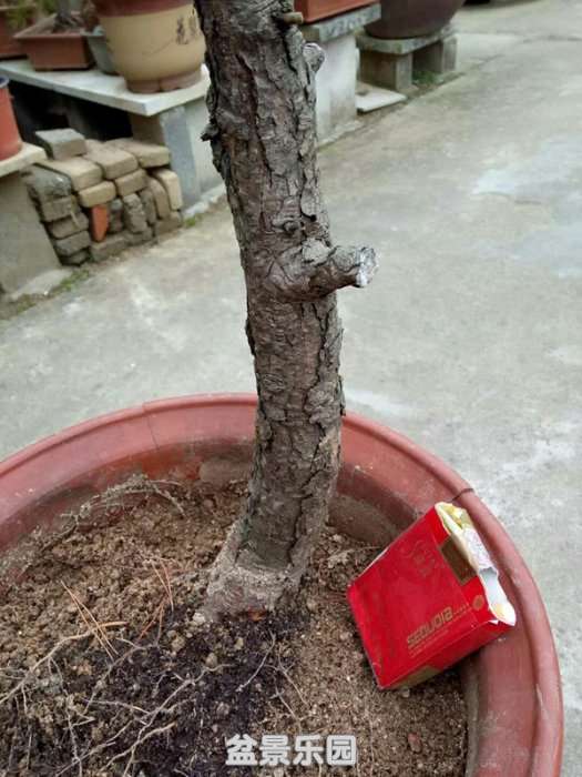 QQͼƬ20190119170553_.jpg