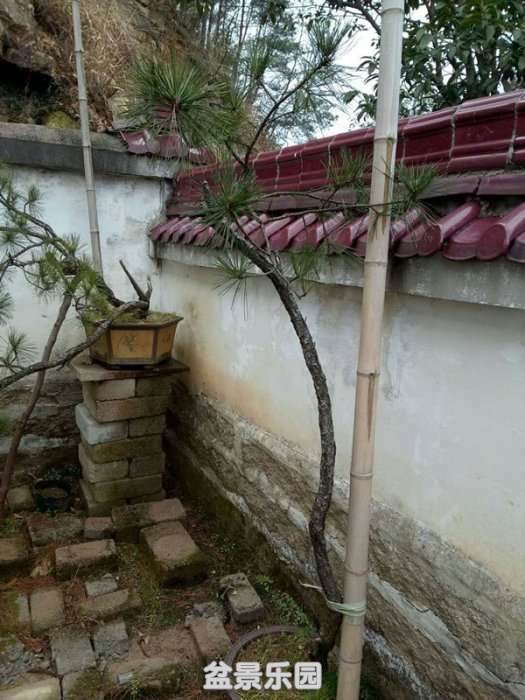 QQͼƬ20190226161614_.jpg