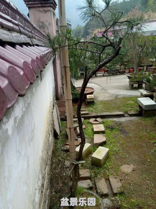 QQͼƬ20190226161620_.jpg