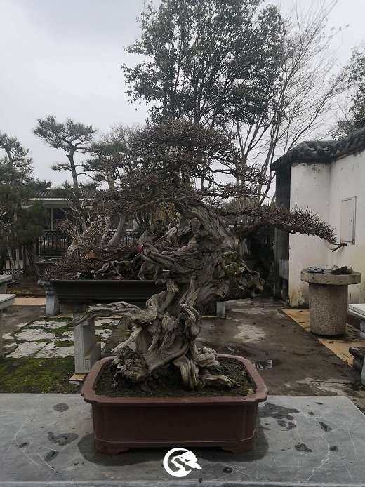81f0a8e2e38446e4848f8d6963d8d6f3..jpg
