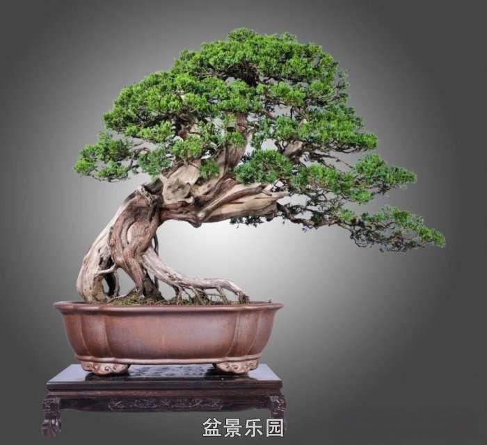 mmexport2bee6d5713272d717687adf357826a5d_17409779.jpg