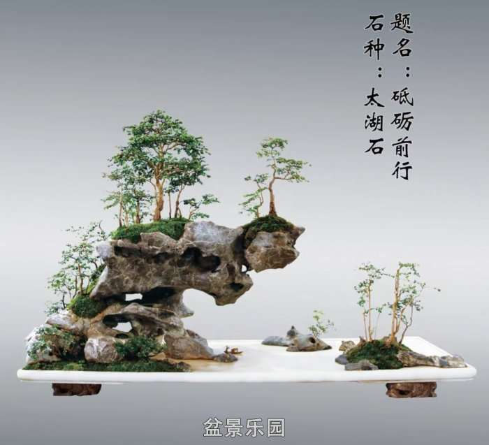Screenshot_20250422_081919_com.tencent.mm_edit_70.jpg