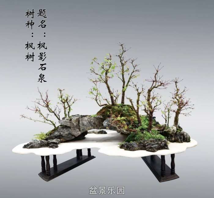Screenshot_20250422_082048_com.tencent.mm_edit_71.jpg