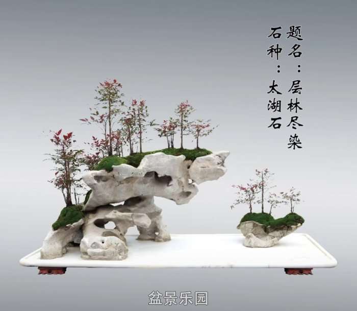 Screenshot_20250422_082218_com.tencent.mm_edit_71.jpg