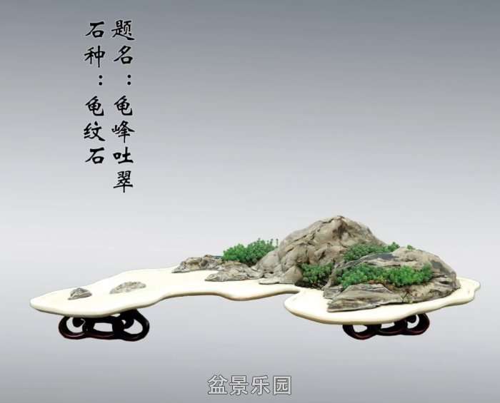 Screenshot_20250422_082227_com.tencent.mm_edit_71.jpg