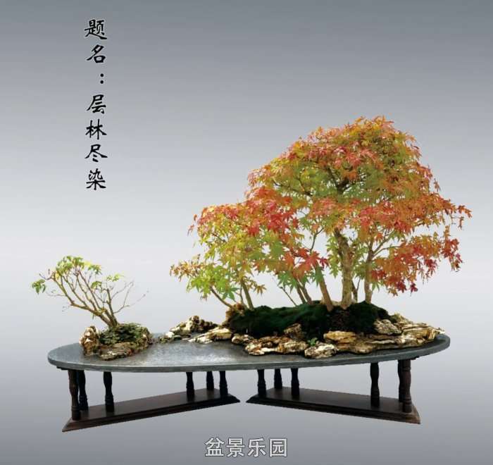 Screenshot_20250422_082120_com.tencent.mm_edit_71.jpg