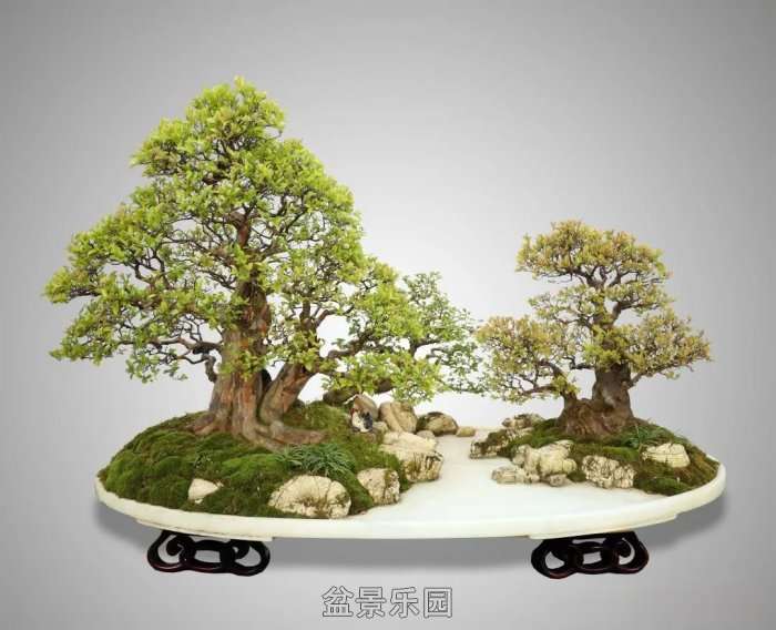 mmexportff61cc34d73ef34cad6295c5f946531c_17461104.jpg