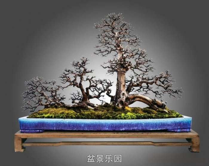 mmexportb443d937edbb67c55221a34be5ae7c8e_17468897.jpg