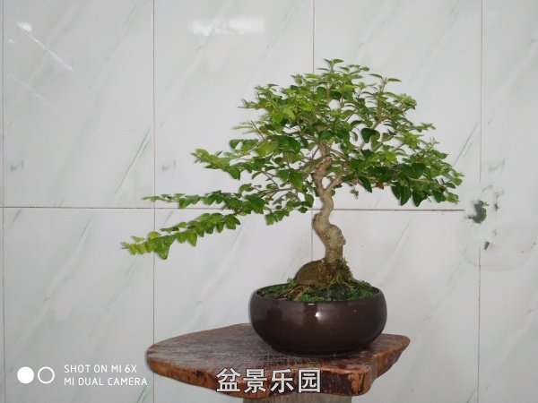 IMG_20200920_085115_.jpg