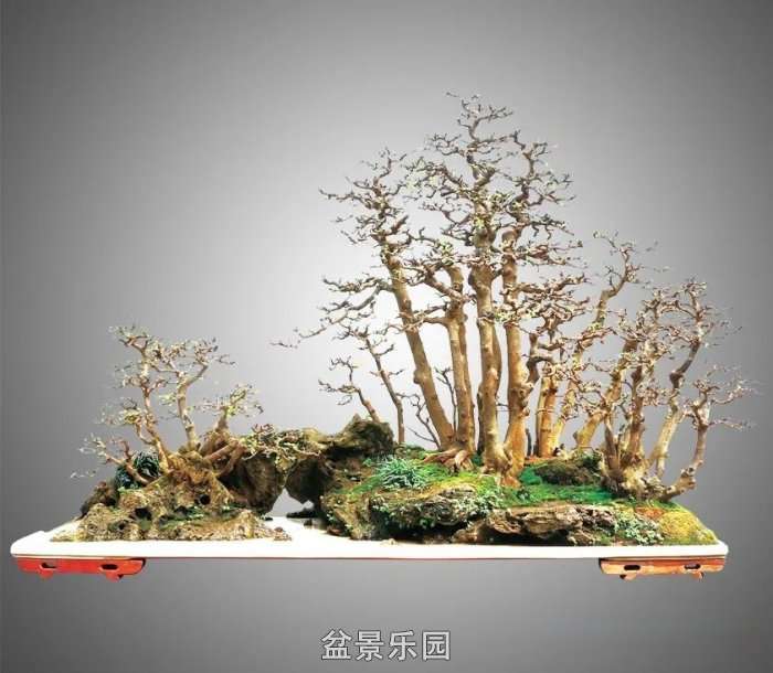 mmexport305febe796ad8ad943a735d21f5d5902_17505099.jpg