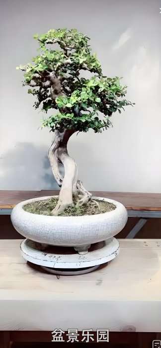 1750510027719.jpg