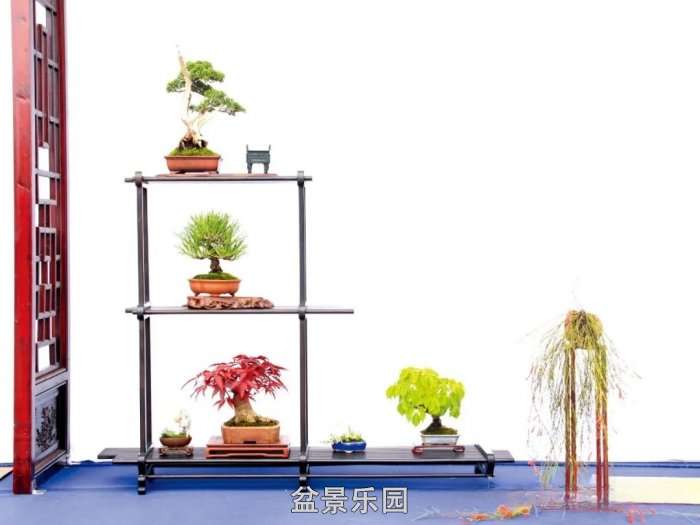 mmexport0e57f7baae35d50154d456cccfa16eb5_17522174.jpg