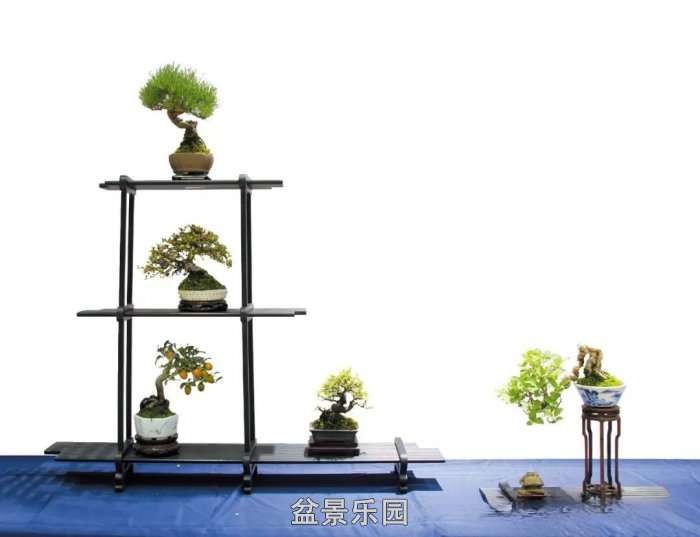 mmexport2a823b5858dcca6ac06c74cf9ebf9fa1_17522172.jpg