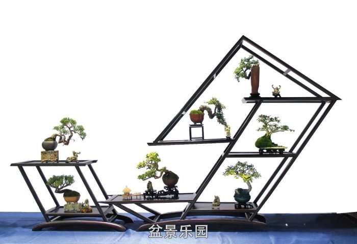 С΢辰 12