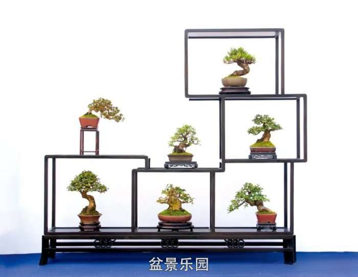 mmexportec70b4bafadab93e1e2b0fcaac2a0e32_17522174.jpg