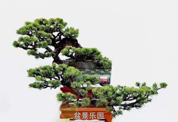mmexport0d381aa9d3d140d27758958b49f4658b_1753526.jpeg