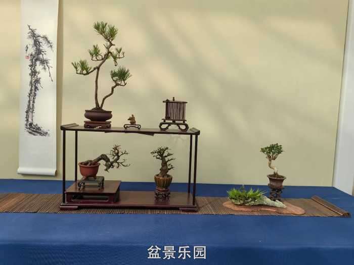 2025�����й��辰���龭��СƷչ��Ʒȫ�� 11