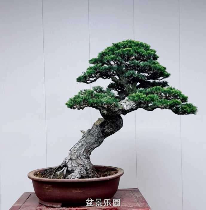 һ��ǧ�������