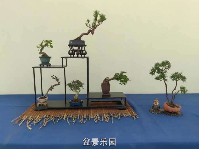 2025�����й��辰���龭��СƷչ��Ʒȫ�� 22