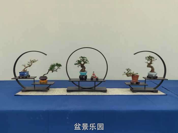 2025�����й��辰���龭��СƷչ��Ʒȫ�� 24