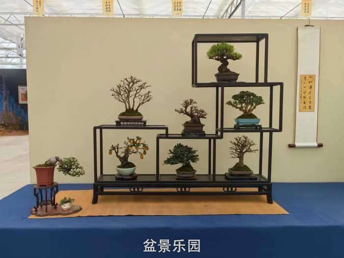 2025�����й��辰���龭��СƷչ��Ʒȫ�� 26