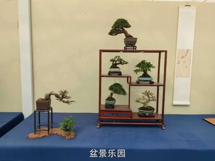 2025�����й��辰���龭��СƷչ��Ʒȫ�� 27