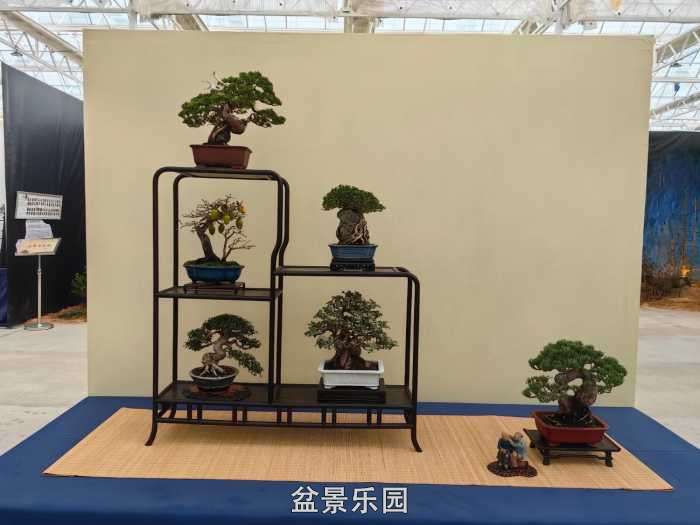 2025�����й��辰���龭��СƷչ��Ʒȫ�� 28