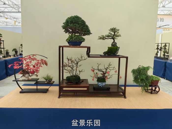 2025�����й��辰���龭��СƷչ��Ʒȫ�� 29