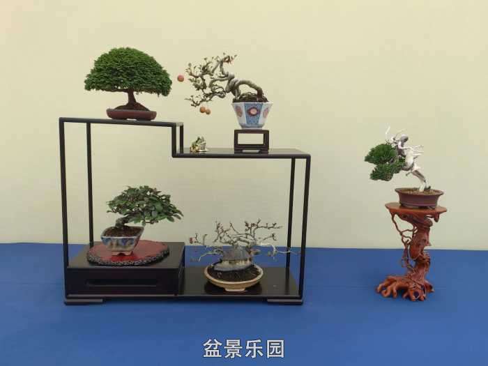 2025�����й��辰���龭��СƷչ��Ʒȫ�� 30